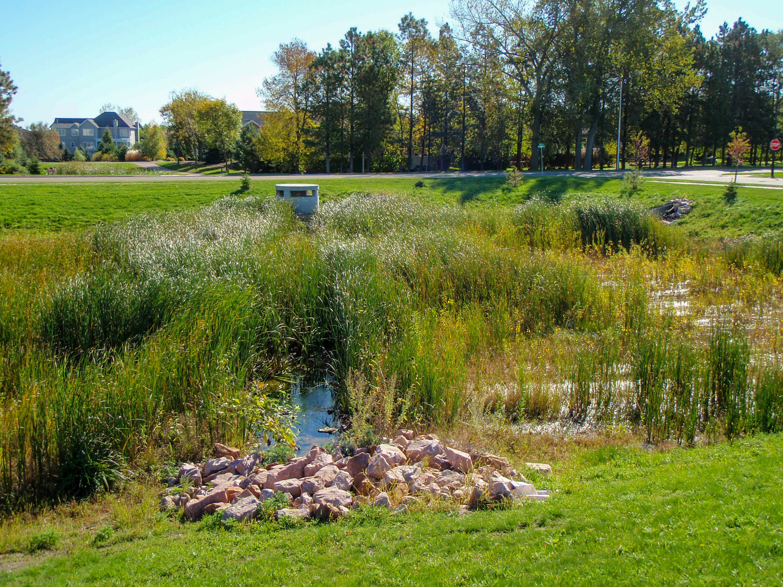 Timberline Detention Pond